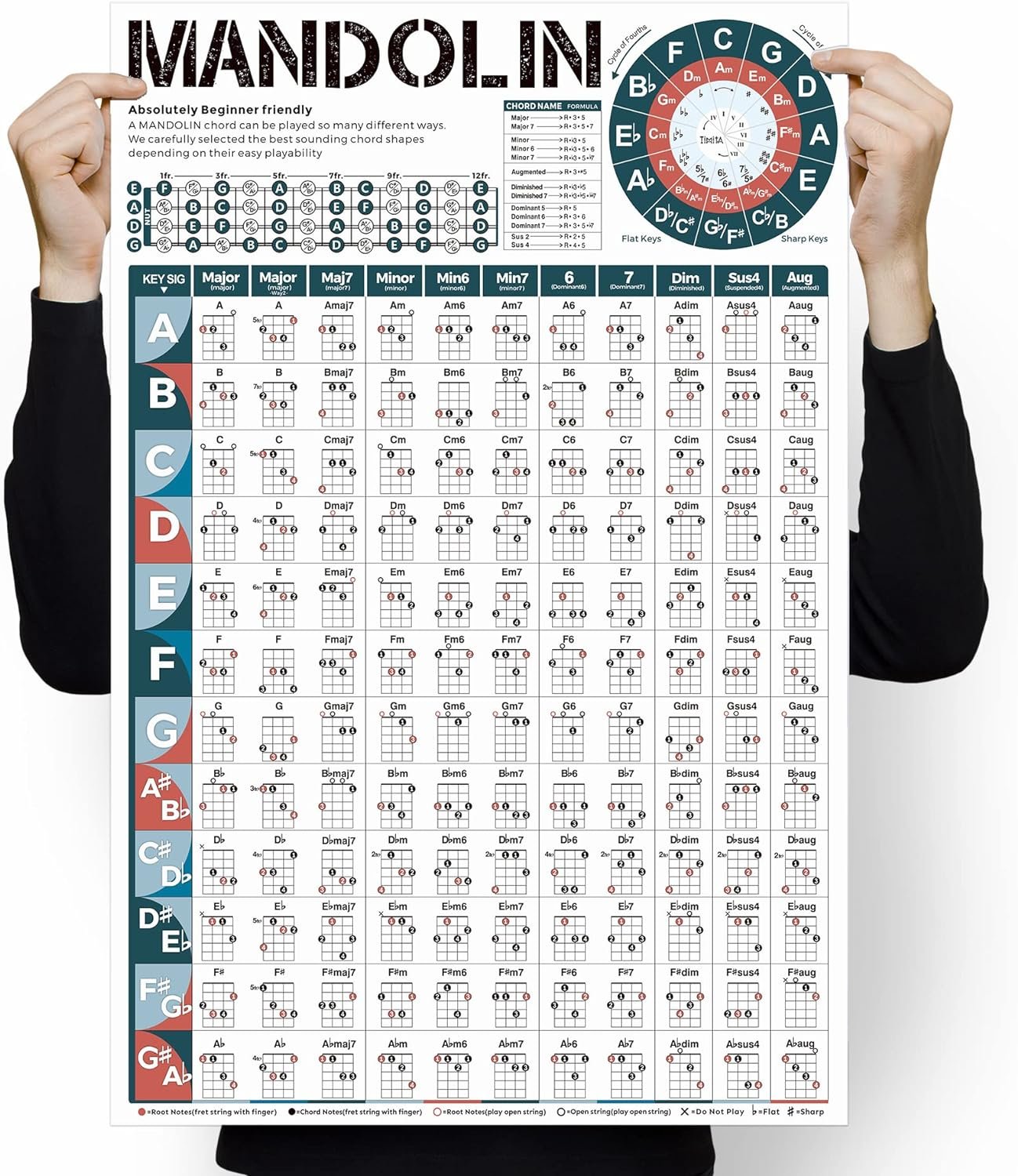Mandolin Chord Chart Poster - 16x24 Wall Chart for Comprehensive Reference Guide of Easy Chord Diagrams, Fingerings Practice, Circle of Fifths for Beginner, Perfect Mandolin Learning Aid